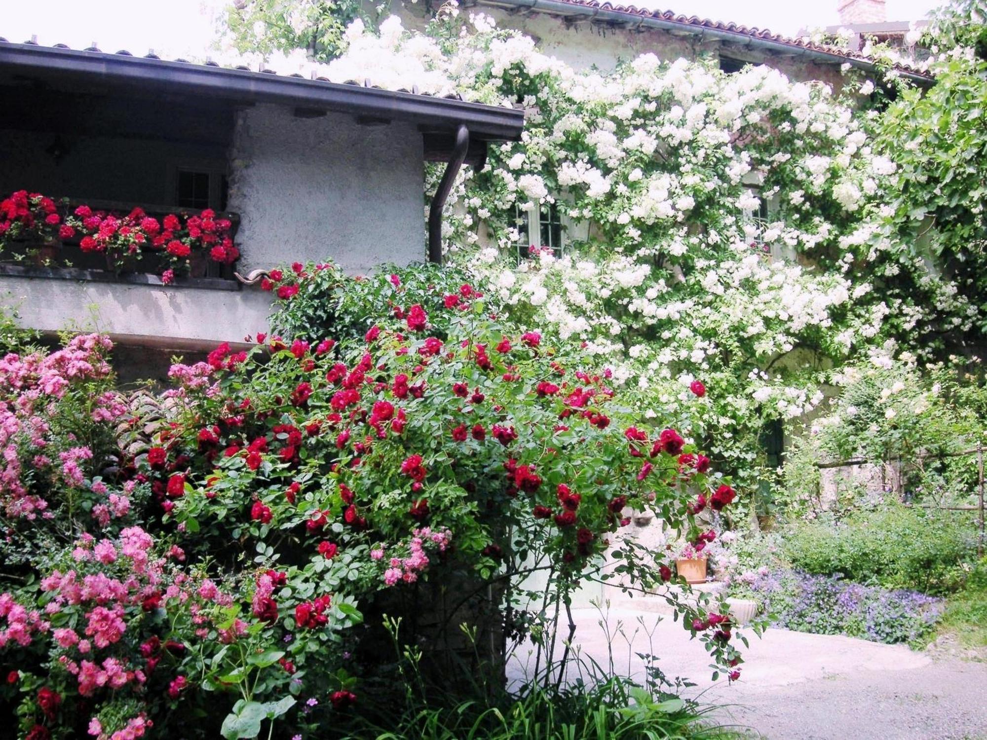 La Traversina Stazzano Dış mekan fotoğraf